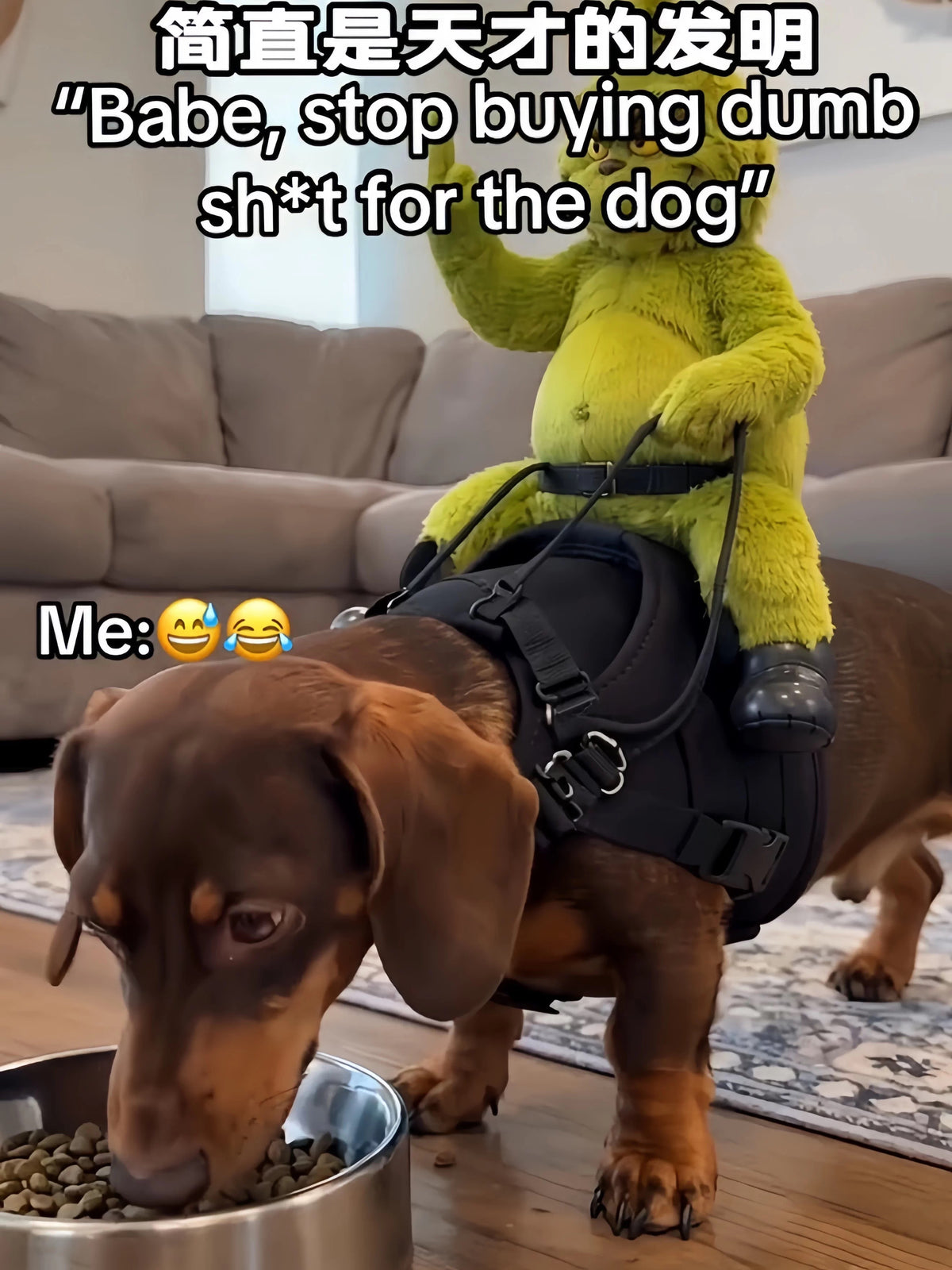 Grinch Riding Dog Harness Costume – Hilarious Holiday Pet Gear