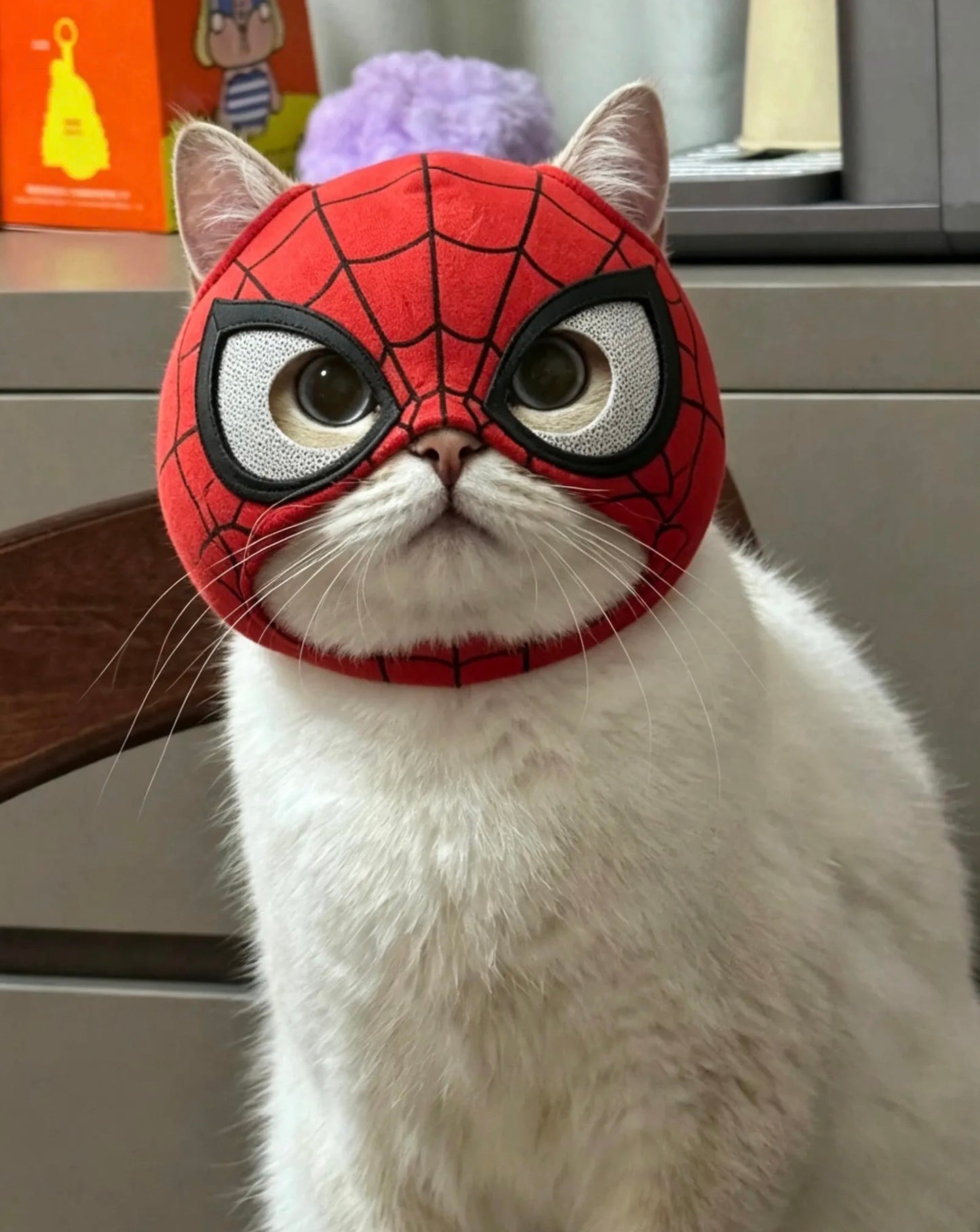 Spider Cat Mask – Superhero Cosplay Mask for Cats | Lightweight Breathable Pet Costume