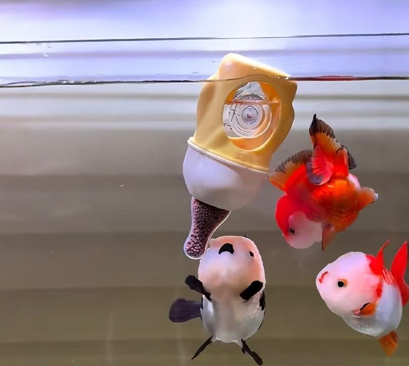 Automatic Fish Feeder – Smart Aquarium Feeding Station