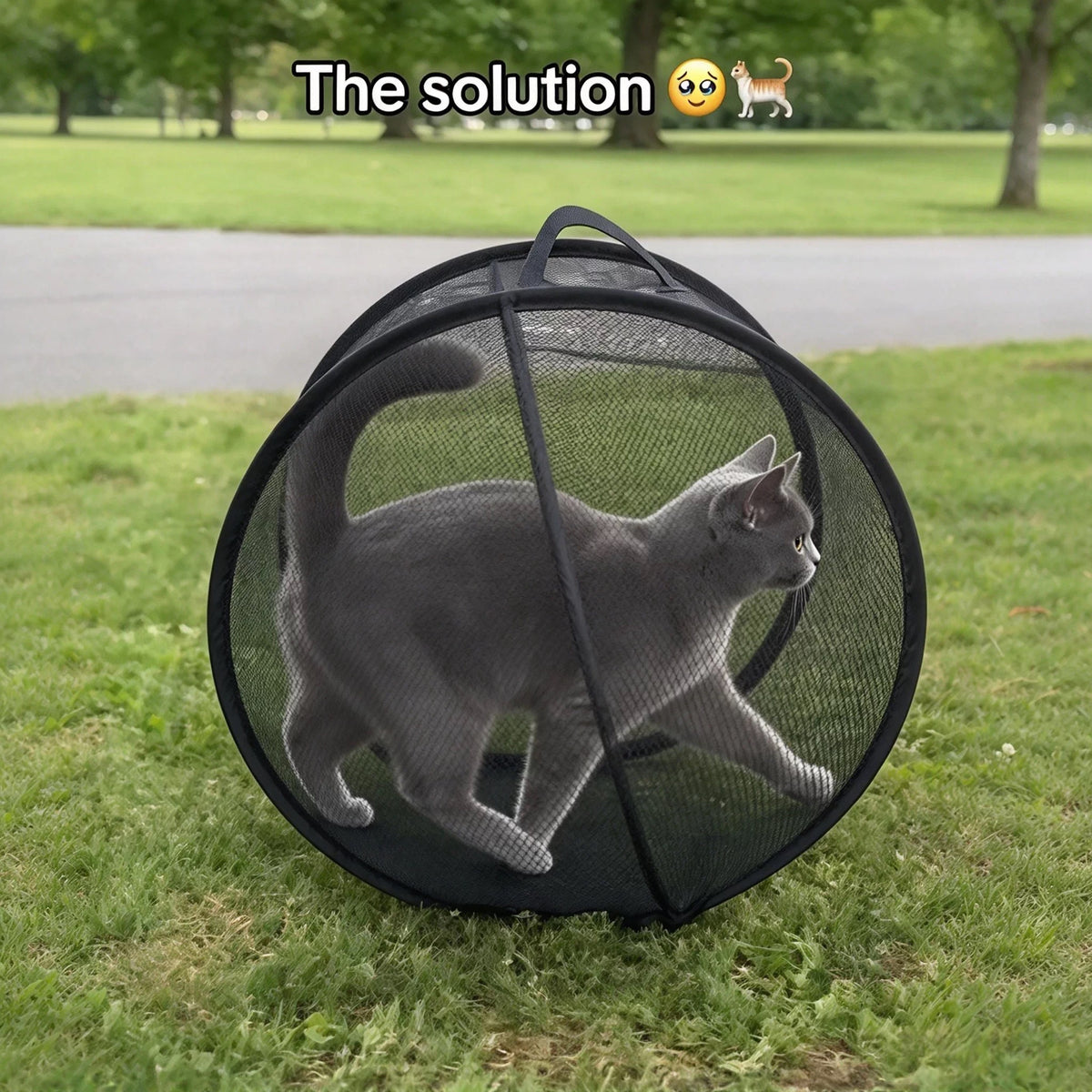 Foldable Mesh Cat Play Tent – Breathable Pet Enclosure