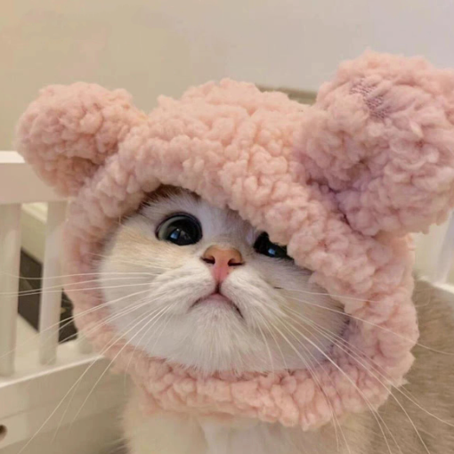 Cute Pet Hat – Adorable Pet Headwear for Cats & Kittens