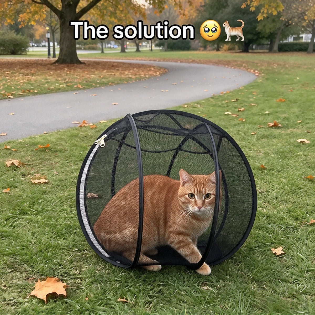 Foldable Mesh Cat Play Tent – Breathable Pet Enclosure