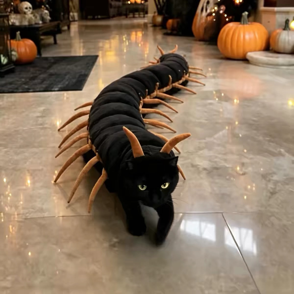 Realistic Scorpion Cat Back Accessory – Funny & Spooky Pet Costume