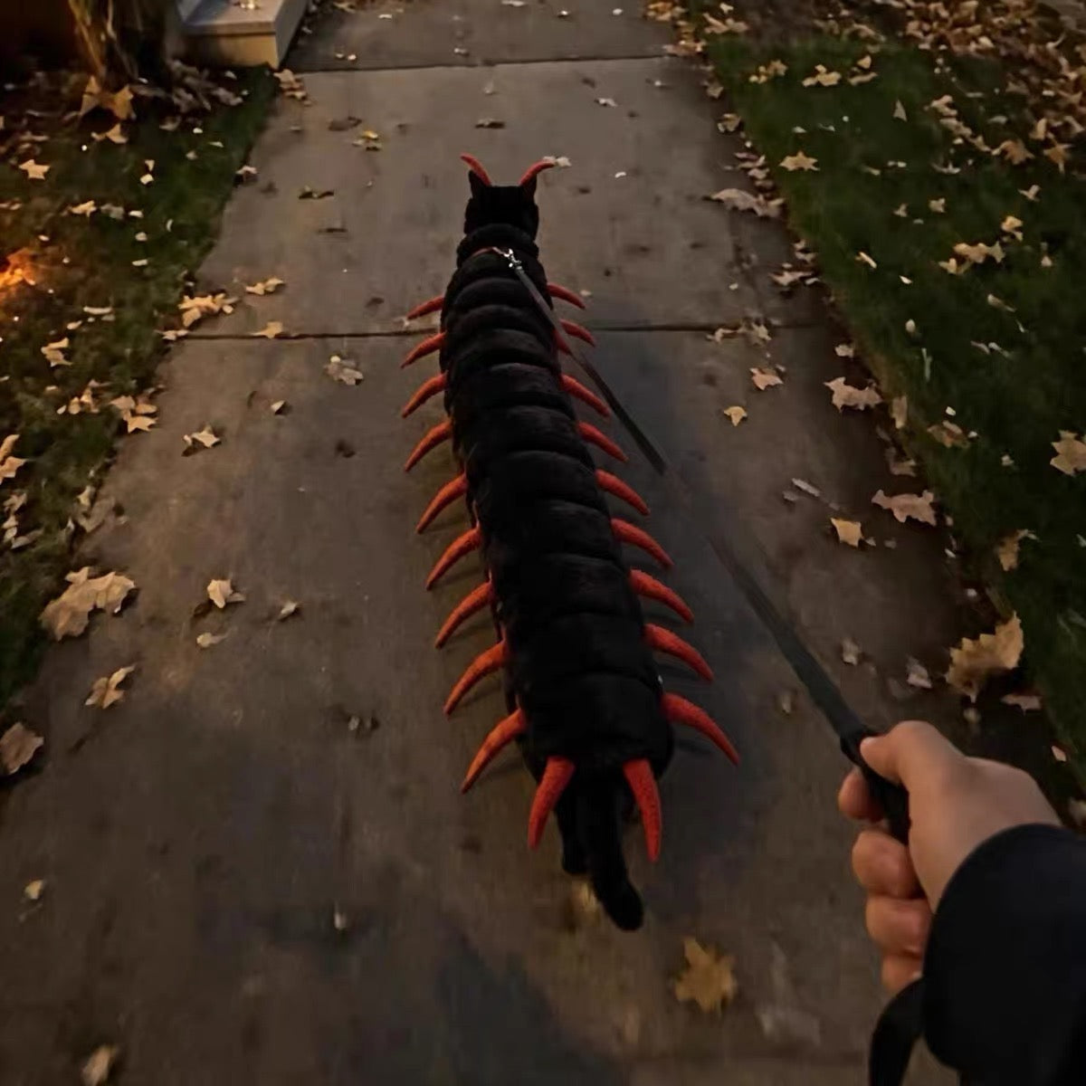 Realistic Scorpion Cat Back Accessory – Funny & Spooky Pet Costume