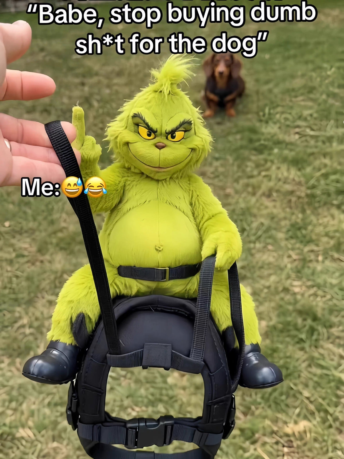 Grinch Riding Dog Harness Costume – Hilarious Holiday Pet Gear