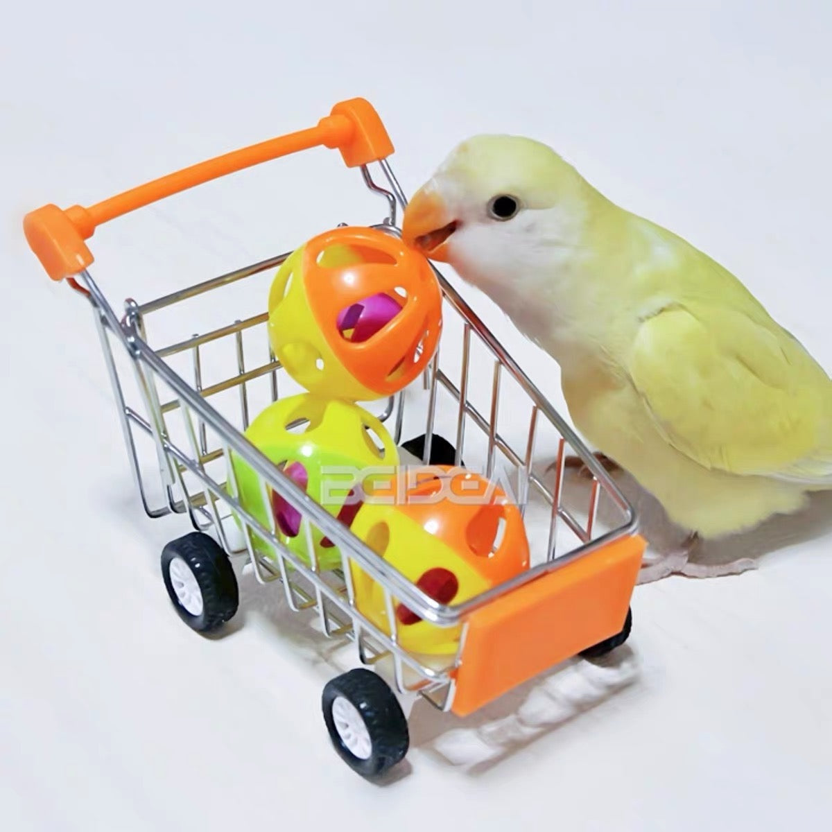 Parrot Intelligence Training Toy Set – Mini Supermarket Shopping Cart with Trick Ball