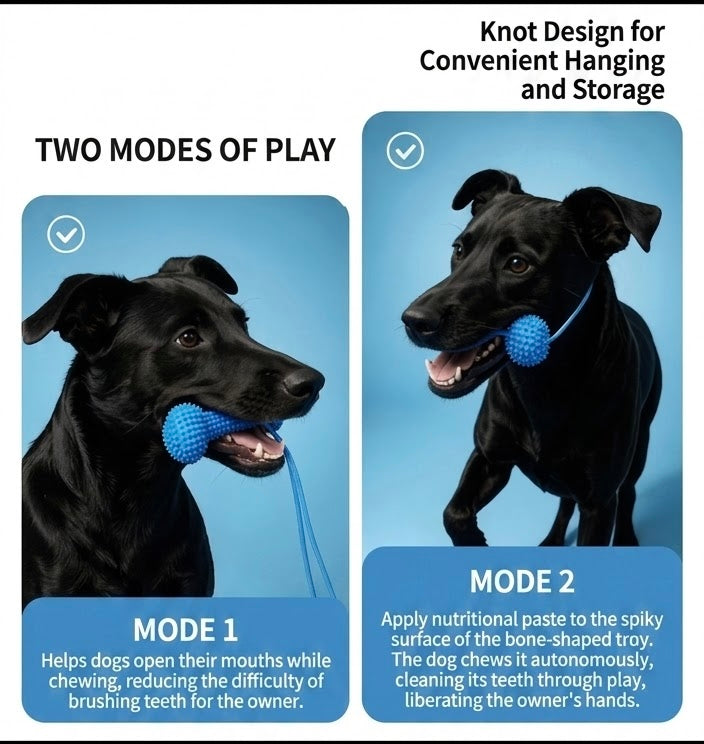 Duo-Action Pet Dental Chew Toy: 2 Modes of Play for Cleaning & Entertaining (Large Size)