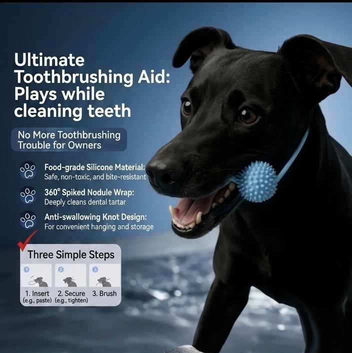 Duo-Action Pet Dental Chew Toy: 2 Modes of Play for Cleaning & Entertaining (Large Size)
