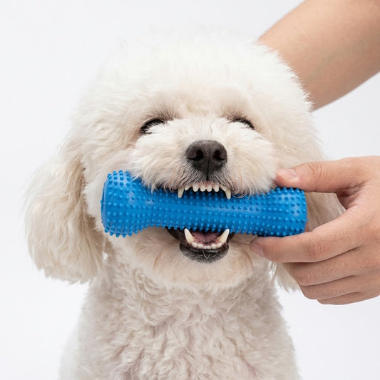 Dog And Cat Teeth Cleaner Chew Toy – Easy Dental Cleaning & Oral Care