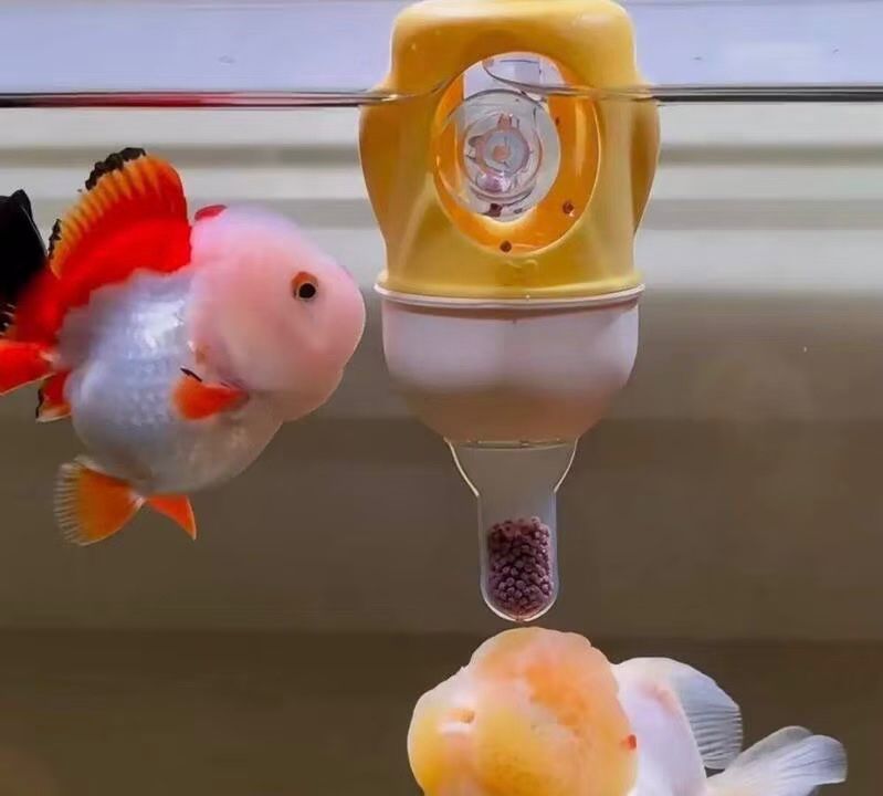 Automatic Fish Feeder – Smart Aquarium Feeding Station