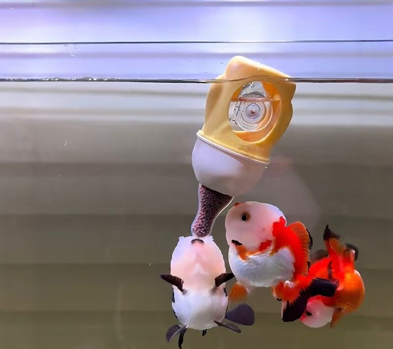 Automatic Fish Feeder – Smart Aquarium Feeding Station