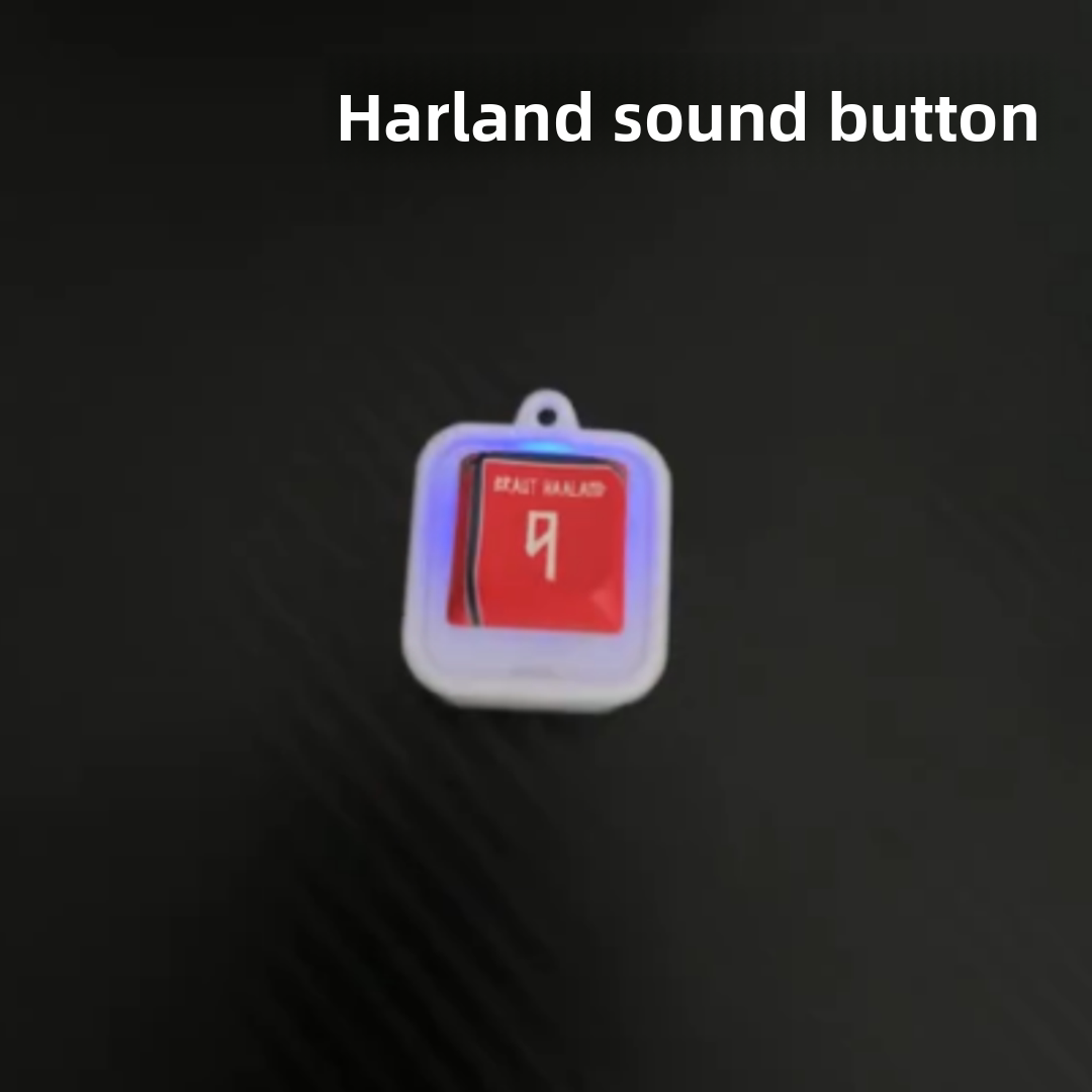Funny Sound Button Keychain – Portable Prank & Stress Relief Clicker for Keys, Bags & Backpacks